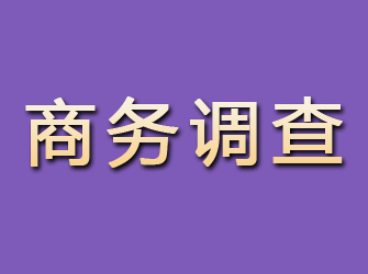 汇川商务调查